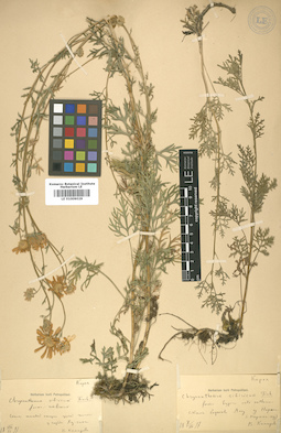 LE 01009029