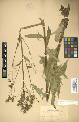 LE 01009044