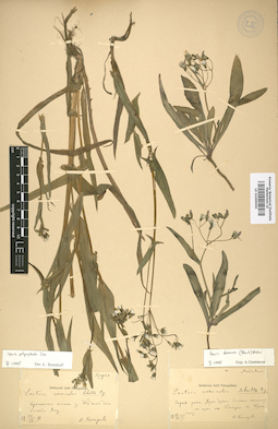 LE 01009050