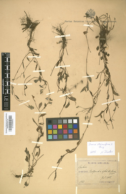 LE 01009051