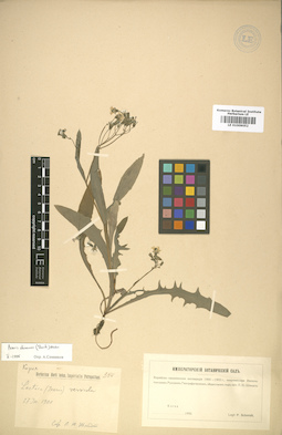 LE 01009052
