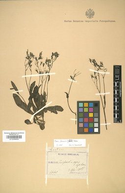 LE 01009054