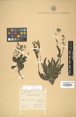 LE 01009055