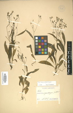 LE 01009056