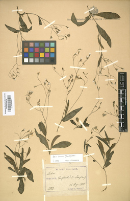 LE 01009057