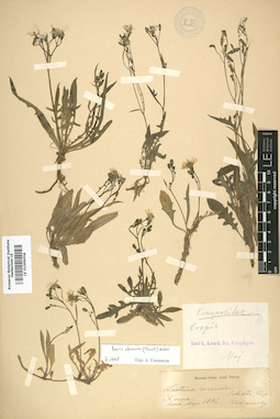 LE 01009058