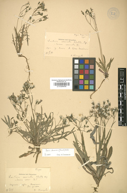 LE 01009059