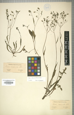 LE 01009060