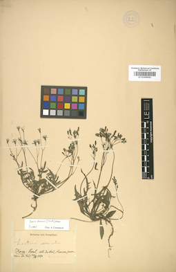 LE 01009061