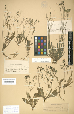 LE 01009062