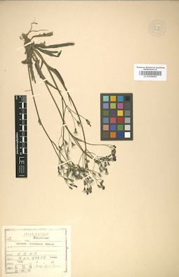 LE 01009063