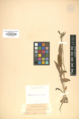LE 01009064