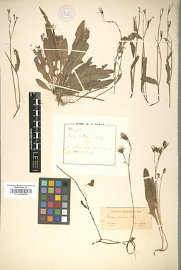LE 01009065