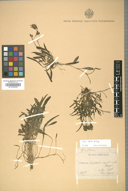 LE 01009066