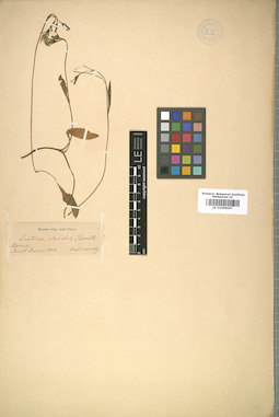 LE 01009067
