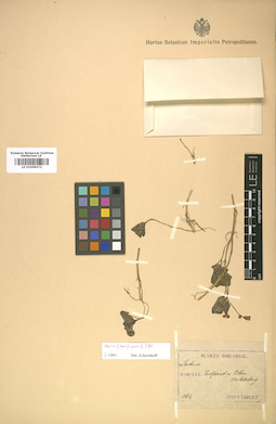 LE 01009072