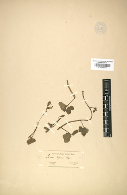 LE 01009073