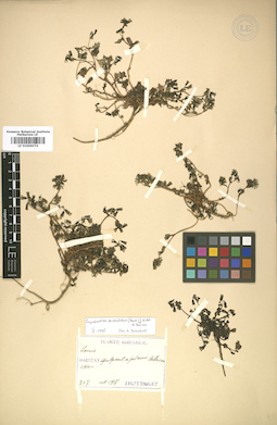LE 01009074