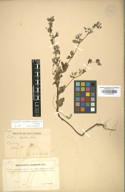 LE 01009078