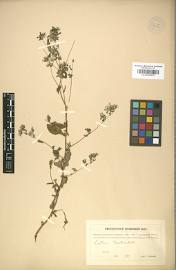 LE 01009079