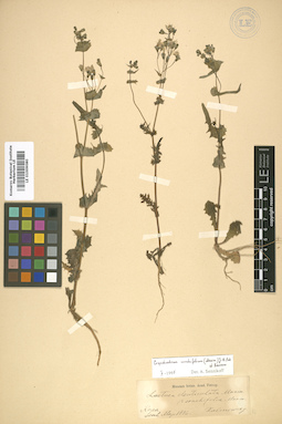 LE 01009080