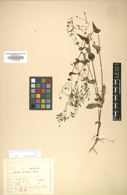 LE 01009083