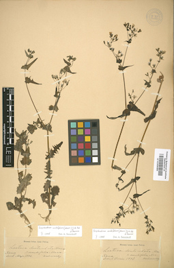 LE 01009084