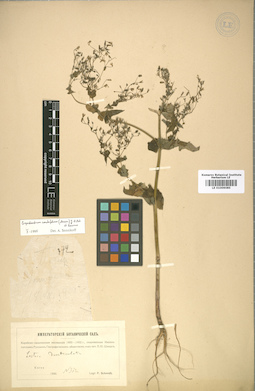 LE 01009085