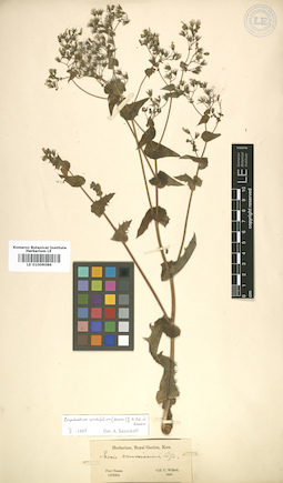 LE 01009086