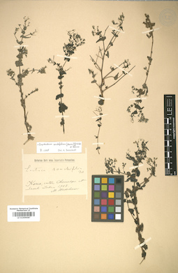 LE 01009087