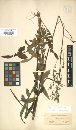 LE 01009088