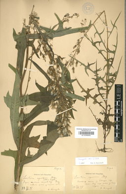 LE 01009091