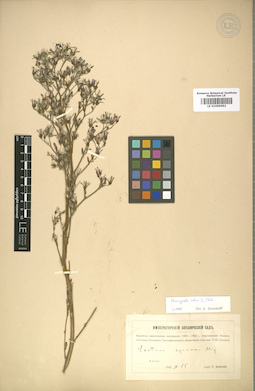 LE 01009092