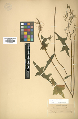 LE 01009094