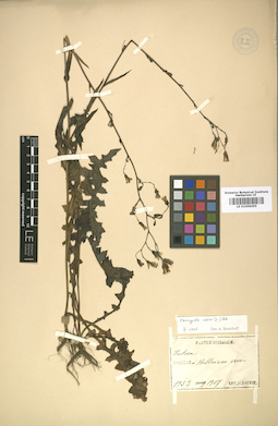 LE 01009095