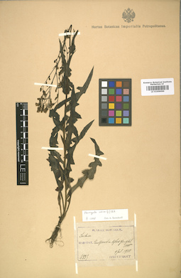 LE 01009096