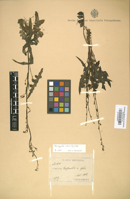 LE 01009097