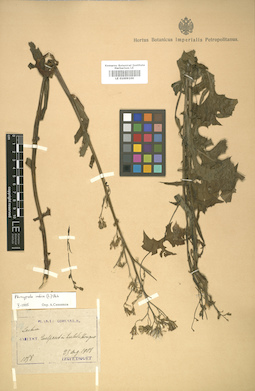 LE 01009100
