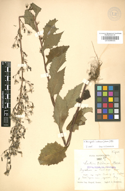 LE 01009101