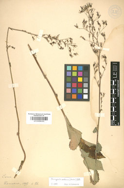 LE 01009102
