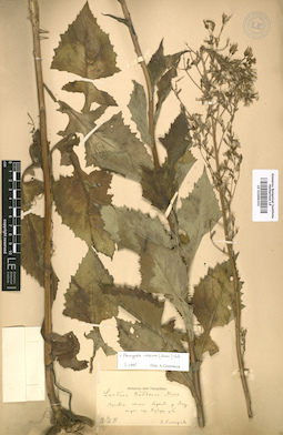 LE 01009103