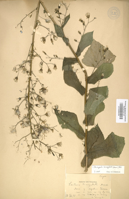 LE 01009104