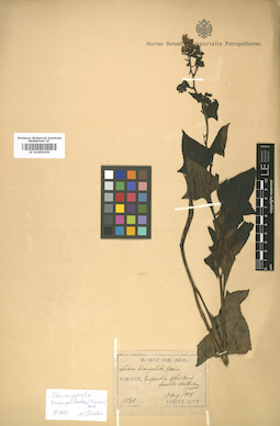 LE 01009106