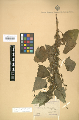 LE 01009109
