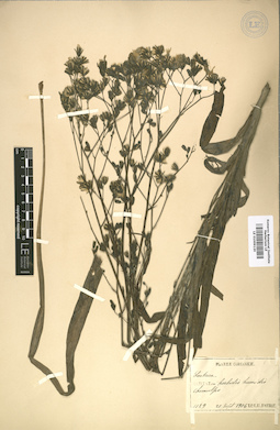 LE 01009120