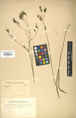 LE 01009122