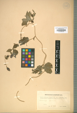 LE 01009129
