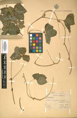 LE 01009132