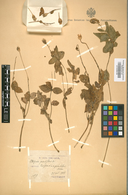 LE 01009138