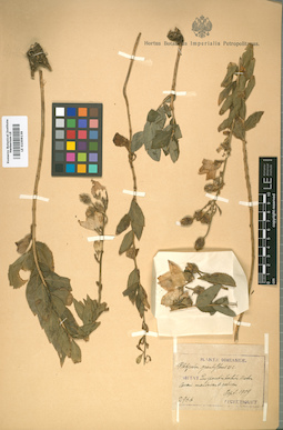 LE 01009139